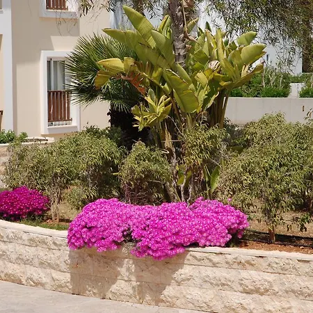Aktea Village 4* Ayia Napa