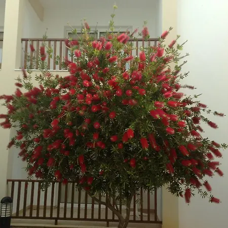 Aktea Village Feriested Ayia Napa